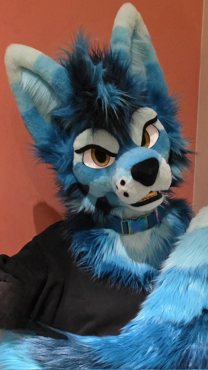 Whitewing Creations tweet media