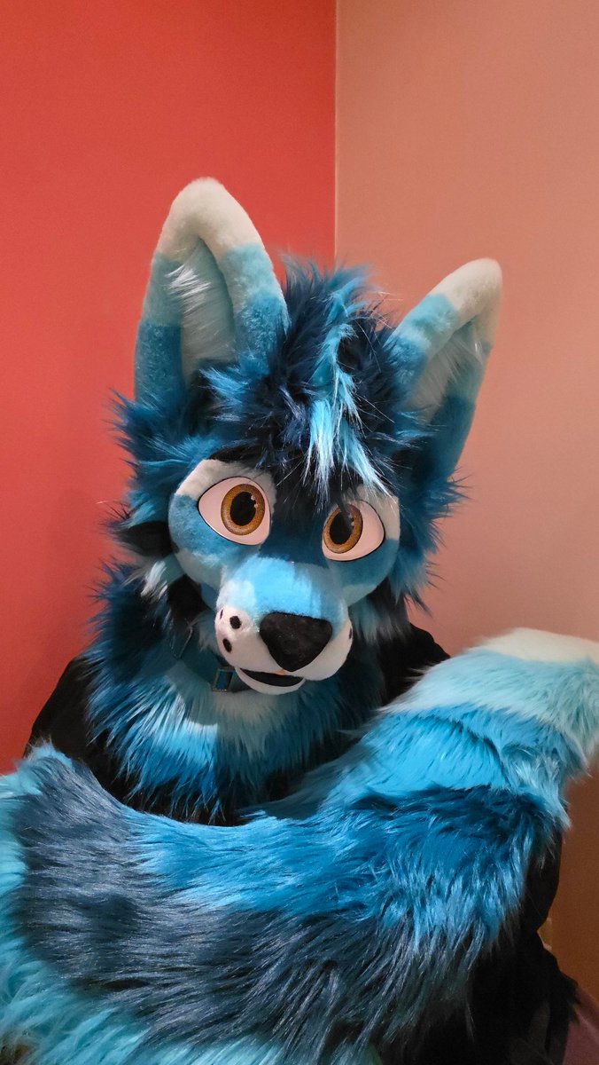 Whitewing Creations tweet media