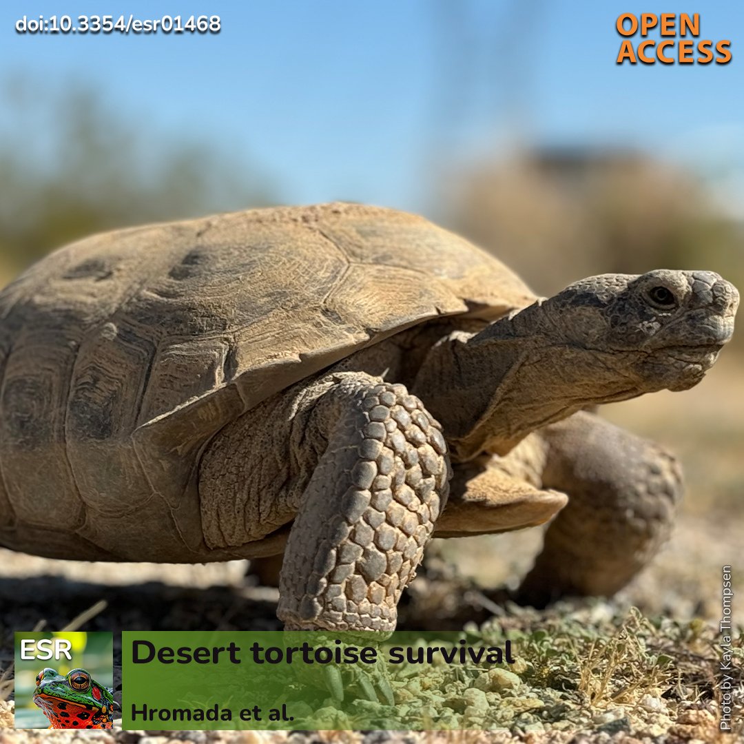 Endangered Species Research tweet media