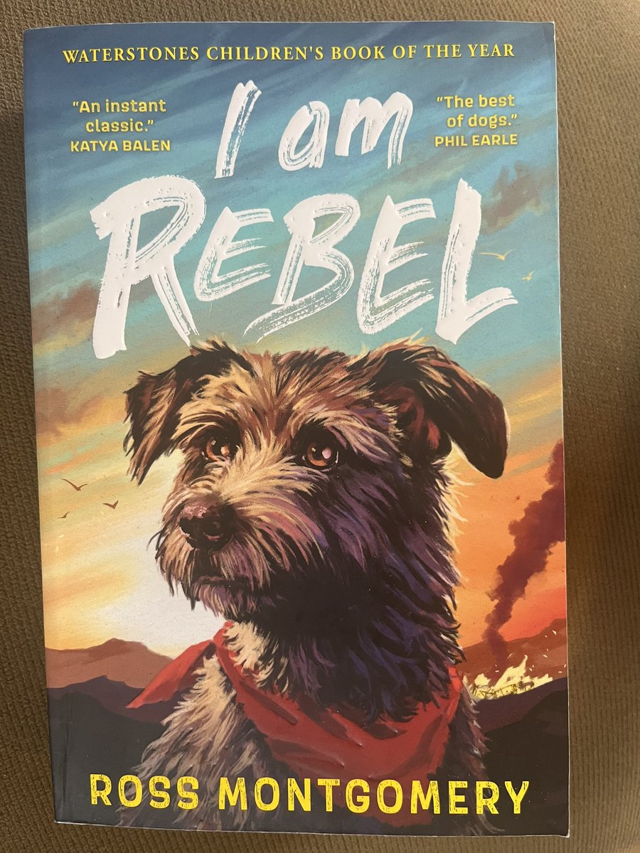 Teresa Cremin CBE tweet media