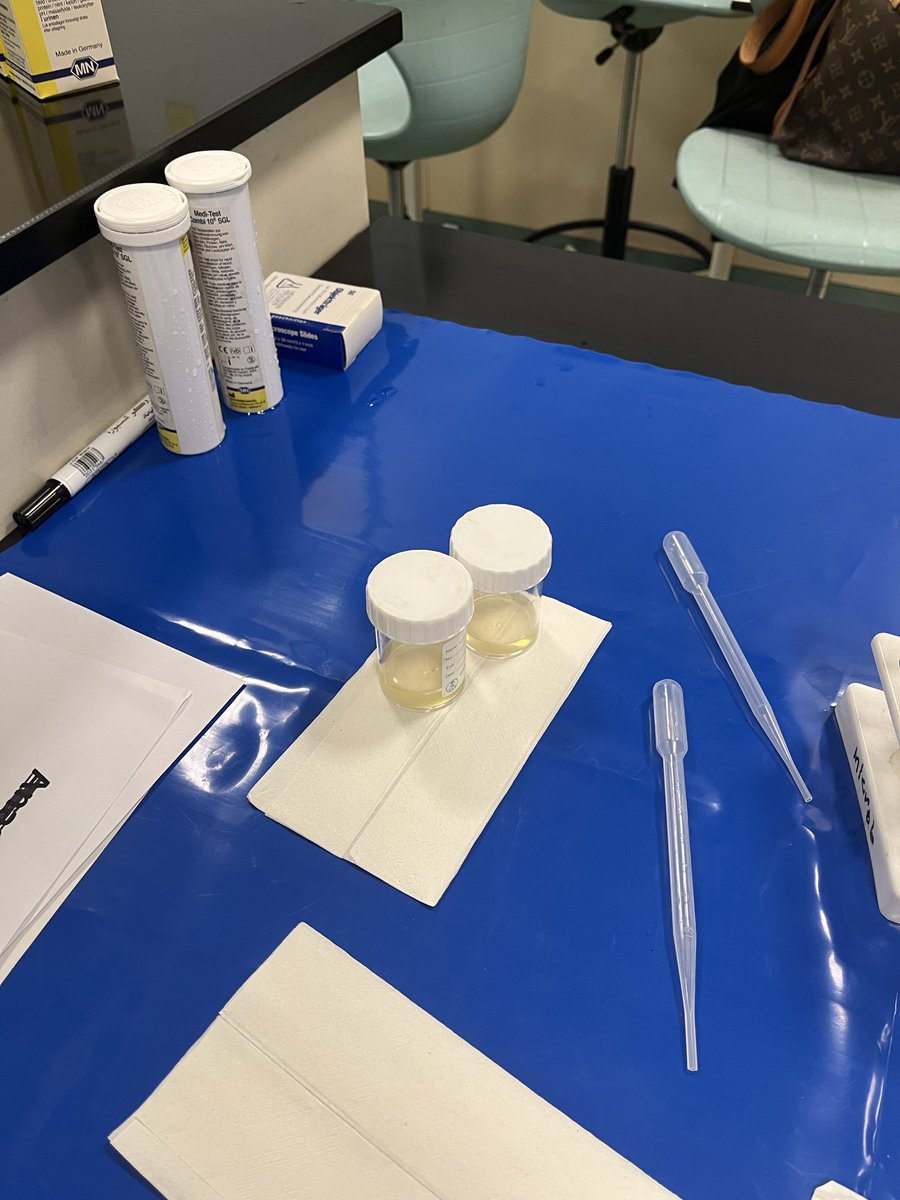 بـشائر 🇸🇦 tweet media