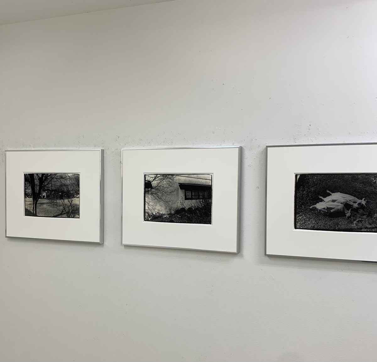 Hideya Ishima tweet media