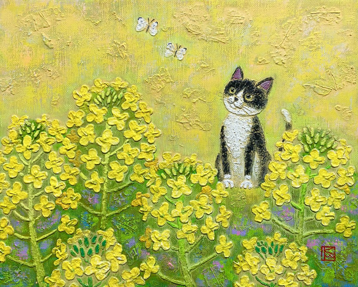 青山健一 tweet media