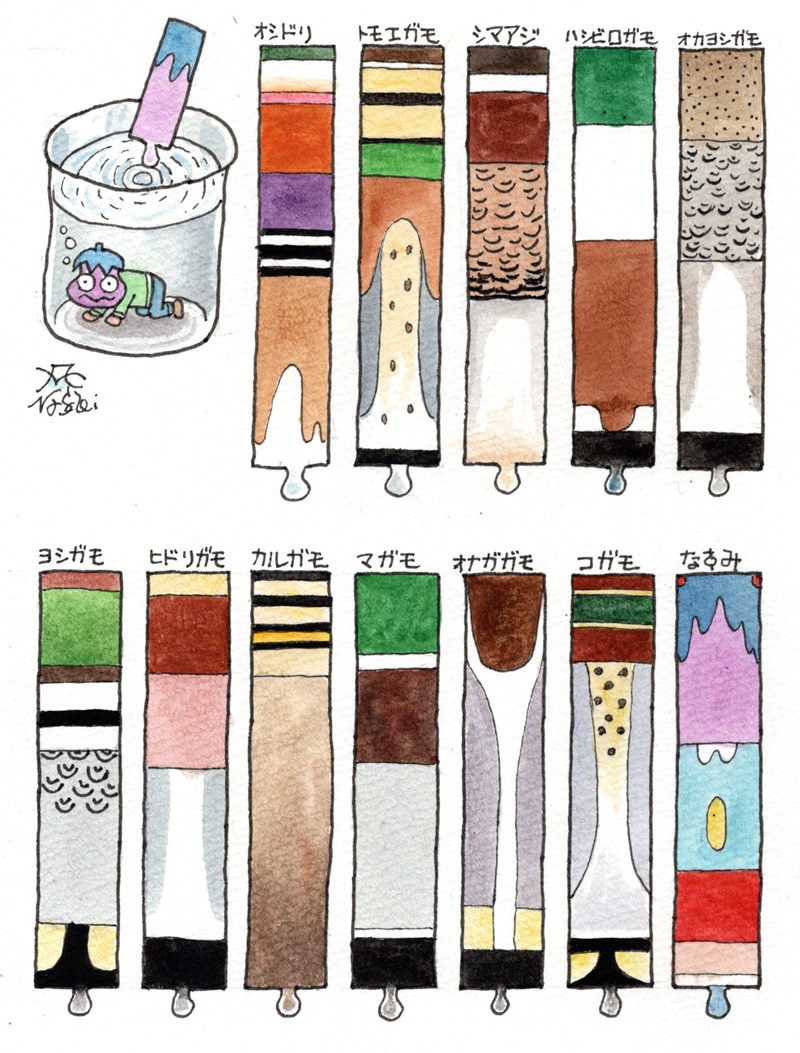 カモの色(水面採餌ガモ編)・・・ヘンなものを描いてしまった 