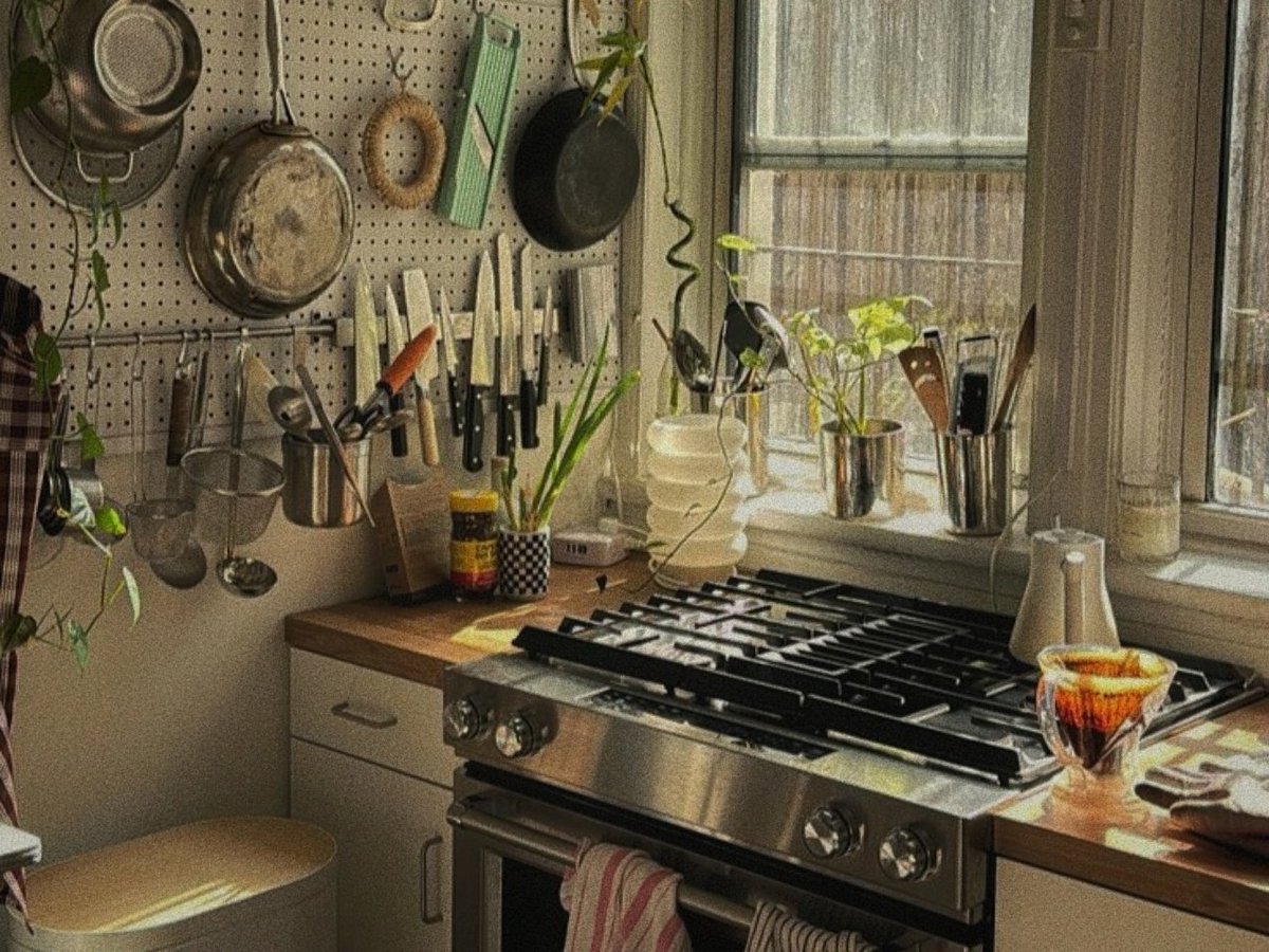 vinnie 🍪🦊 tweet media