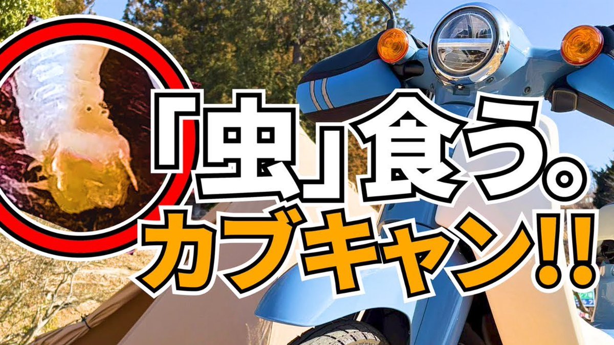 uhsruStzVV44143's tweet photo. YouTubeに動画投稿しました。
冬のカブキャンプをして参りました

https://t.co/VT8J9XQXAx https://t.co/wHSBnCre3Q
