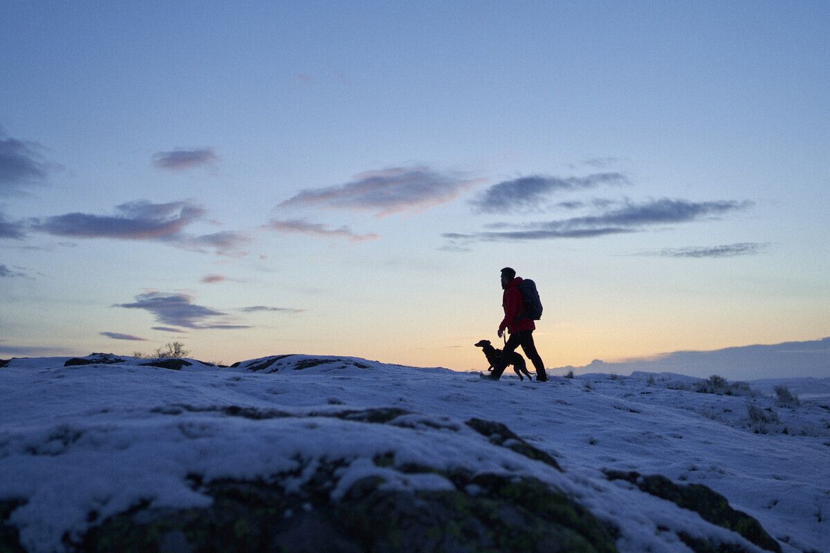 N'land National Park tweet media