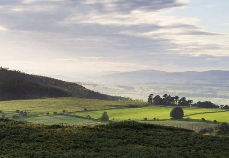 N'land National Park tweet media