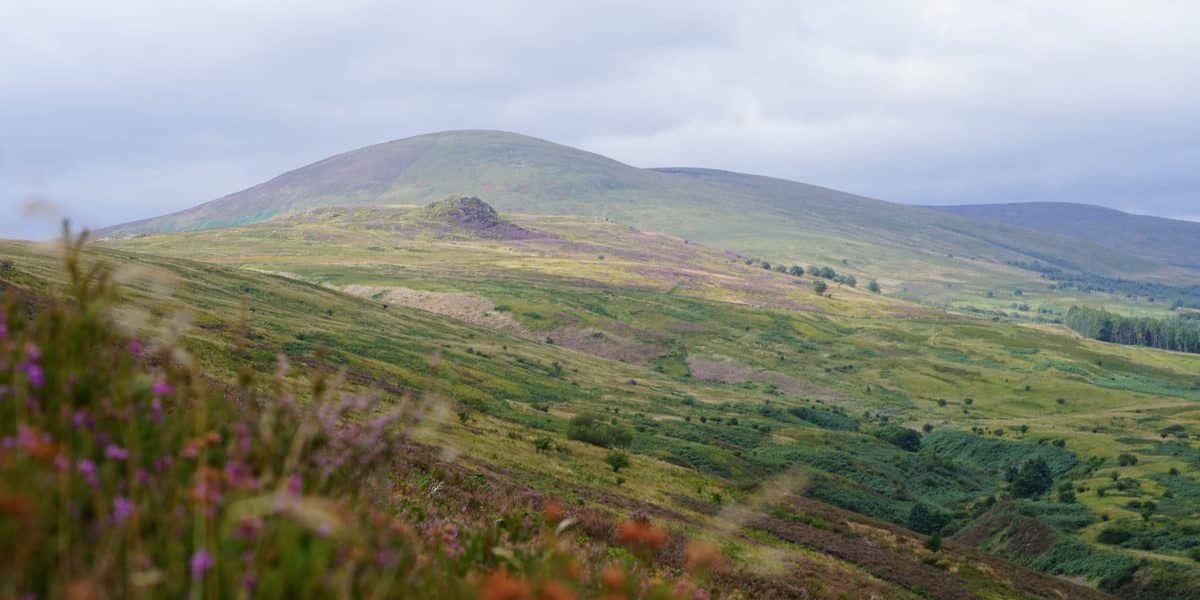 N'land National Park tweet media