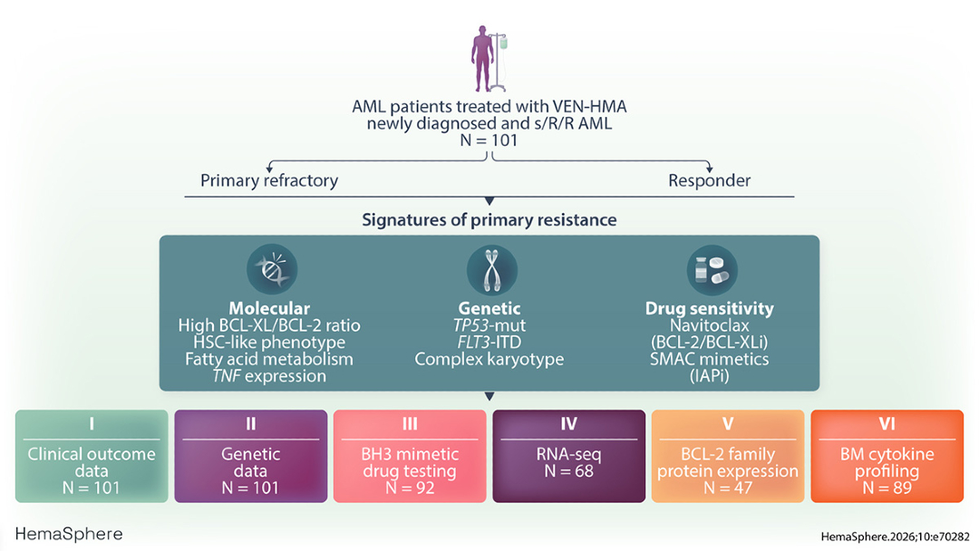 HemaSphere Journal (IF = 14.6) tweet media