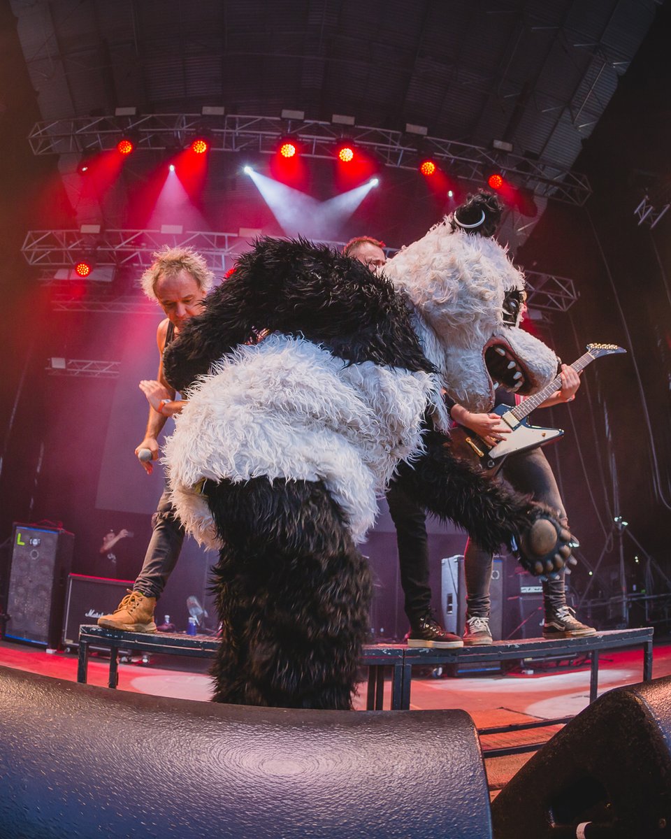 Festival Revenidas tweet media