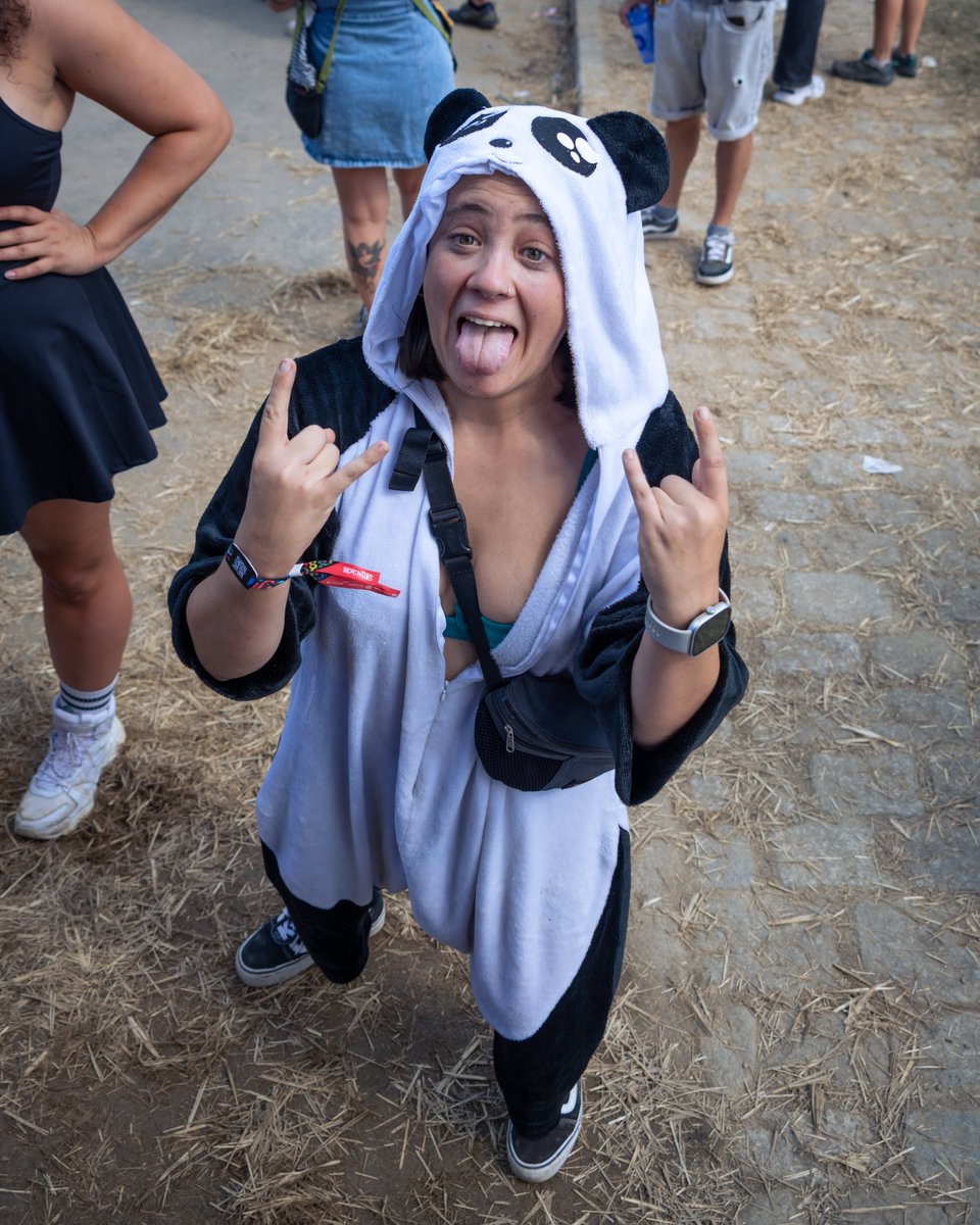 Festival Revenidas tweet media