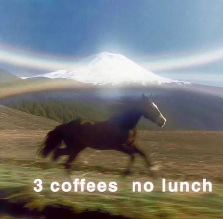 ᚦ ᛁ ᛘ lilith’s coven ᚦ ᛁ ᛘ tweet media