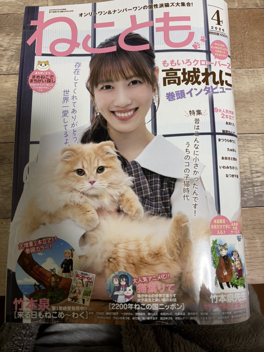 ねことも4月号
どうぞよろしくお願いいたします！( ΦωΦ )

 #猫  #ねこ  #猫雑誌  #猫漫画  #ねことも