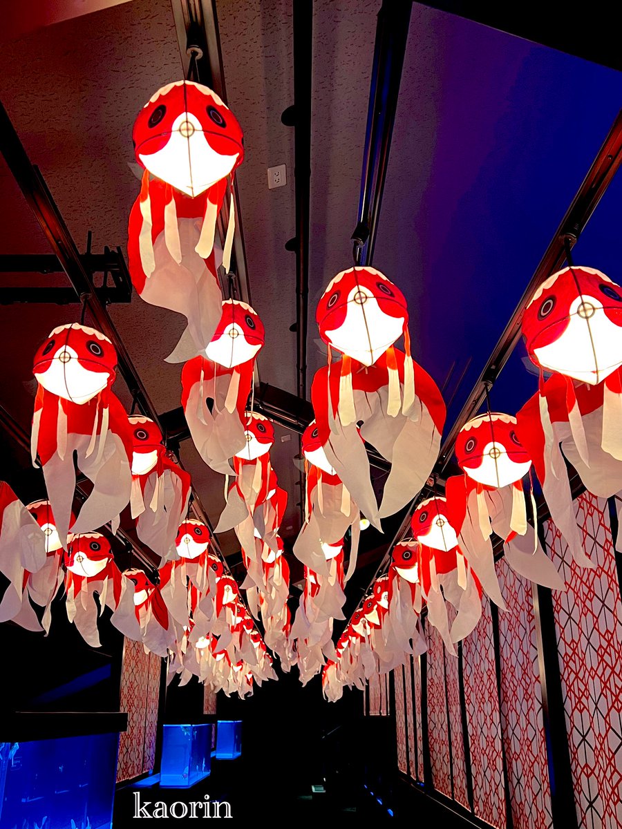 楽しい夜をお過ごし下さいね ꙳.☽⋆˚ ପ(◍˘ ꒳˘)✯*・￼good night