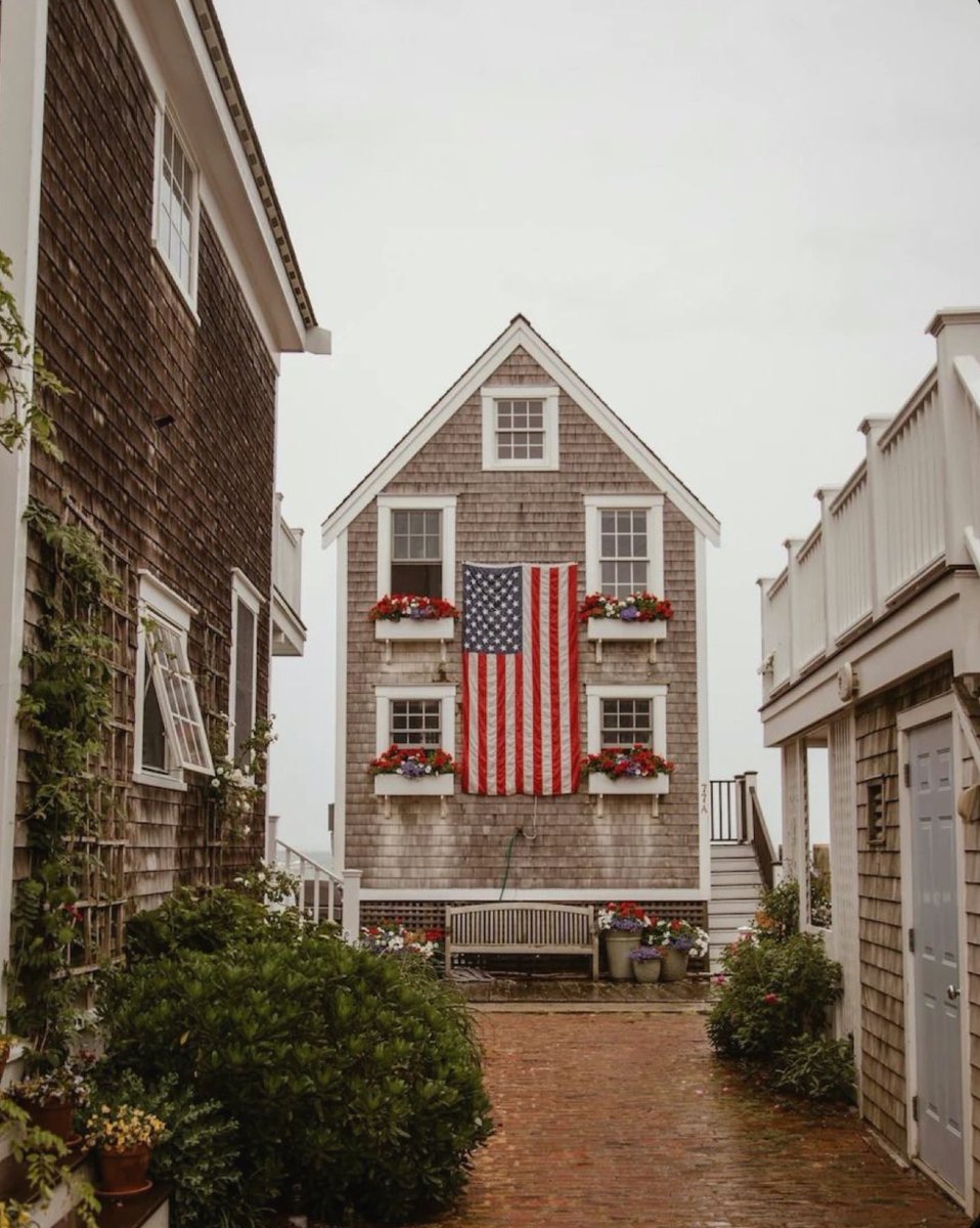 Elle Lookbook tweet media