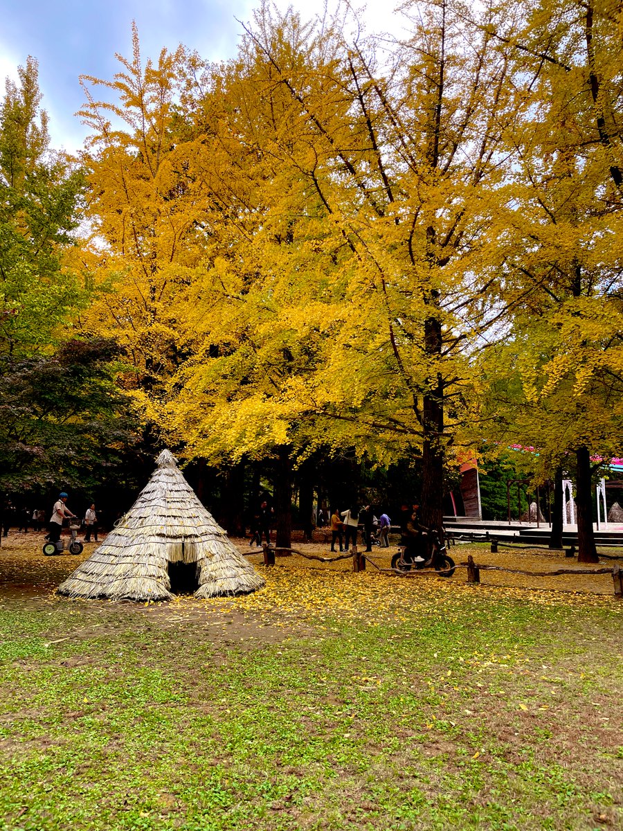 _S_Step_'s tweet image. Sepenggal cerita di Nami island 🍂

Kali ini traveling berdua dengan mama. Tanpa ikut travel agency. Jadi ngebolang aja berdua.

Waktu mau main ke Nami island, ketemu lah dengan ibu-ibu dari mainland china. 

Menurutku, si ibu ini keren bangetttt.. diumur dia yang sekarang, dia
