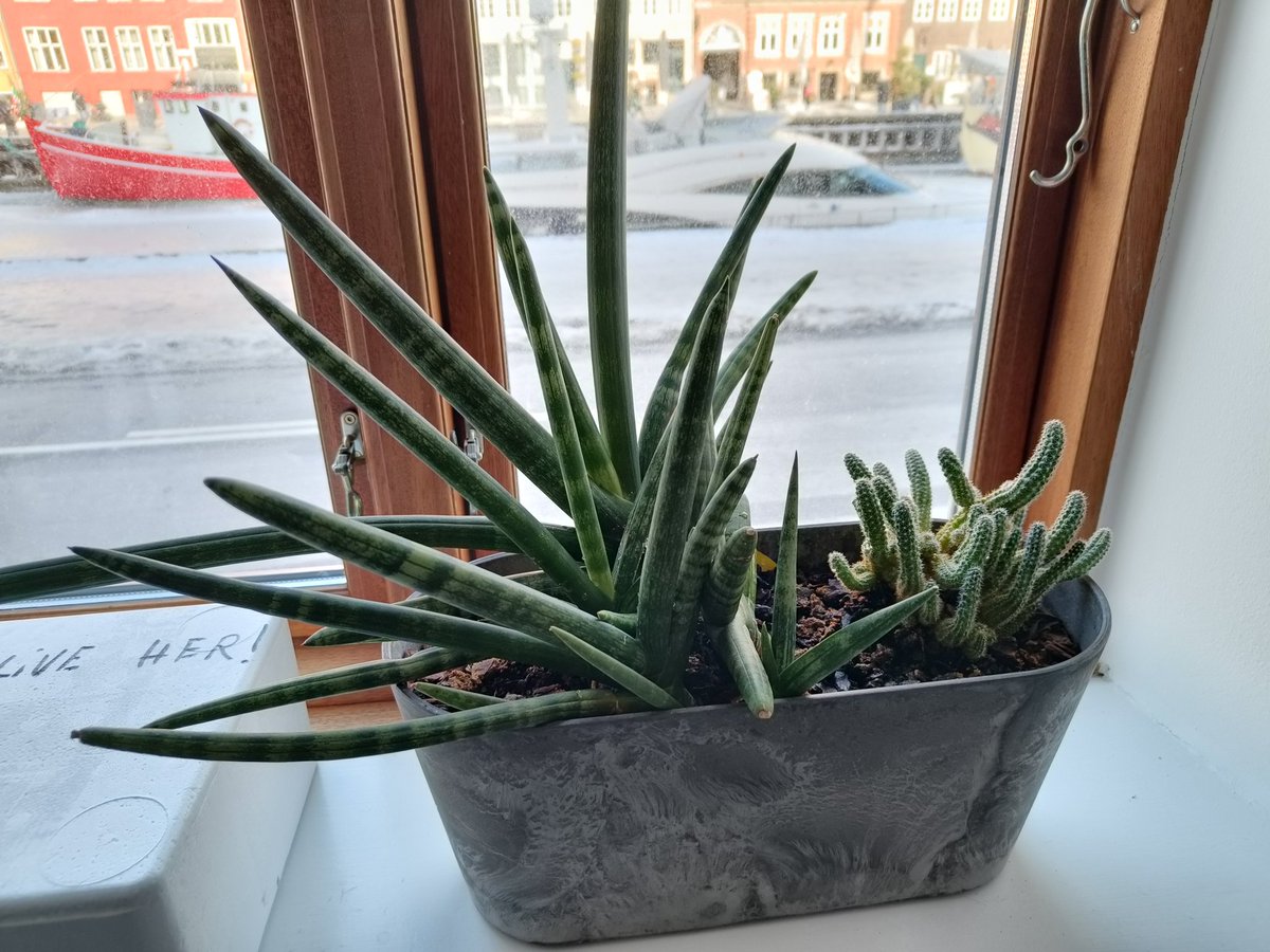 Alexandru Csete tweet media