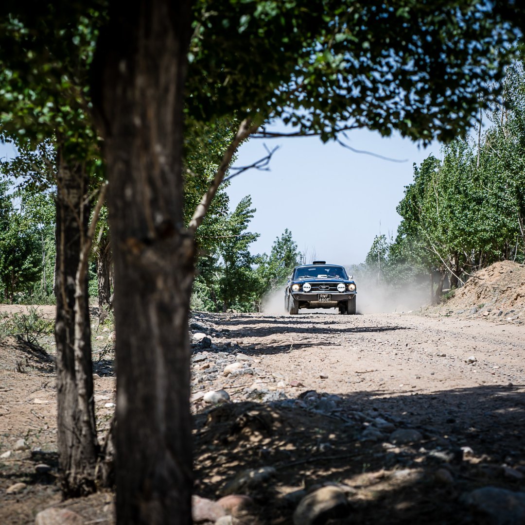 Prodrive tweet media