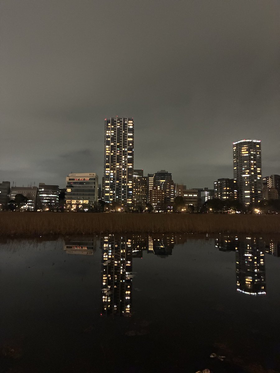 菜津穂 (@4mobra) on Twitter photo 