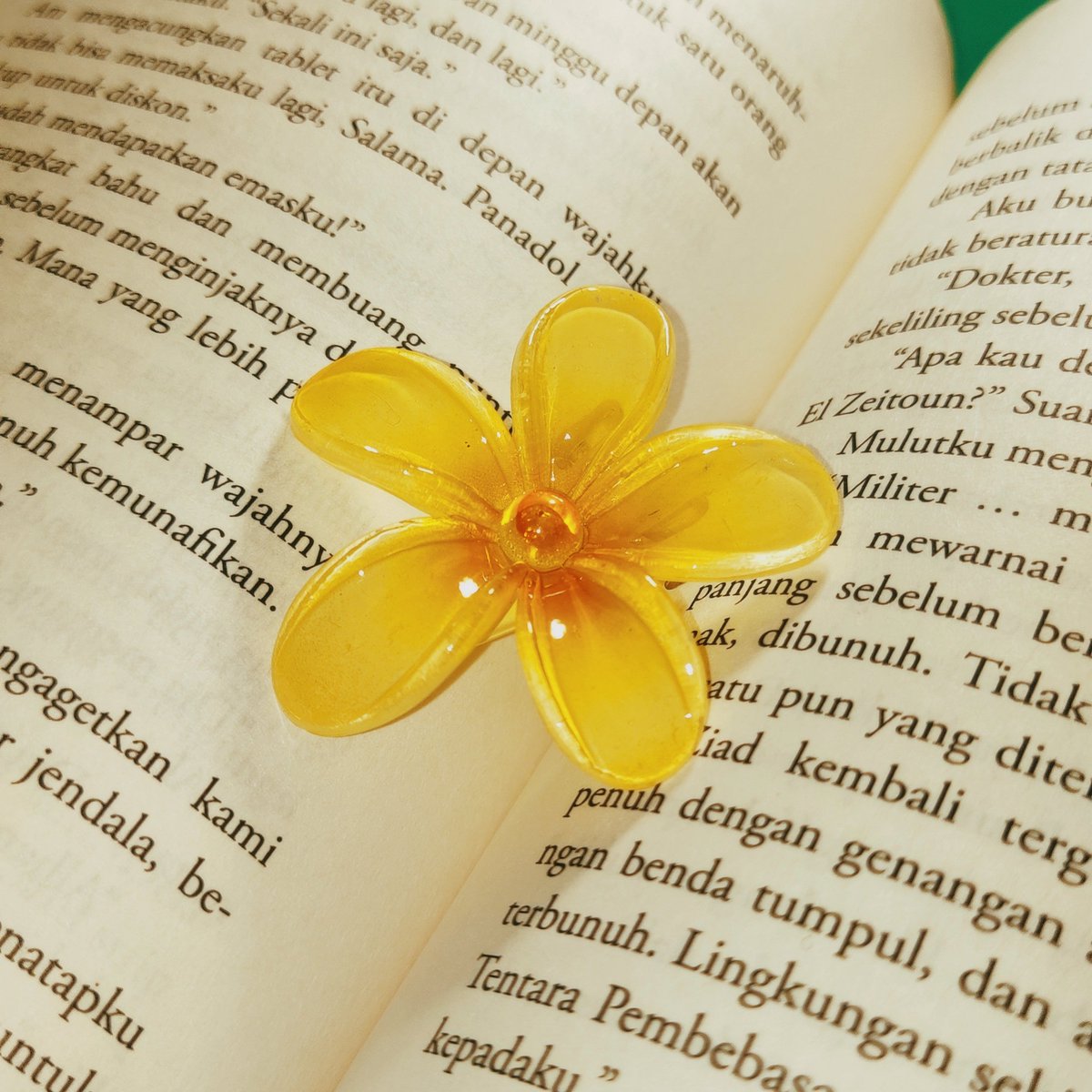 elysianius's tweet photo. 🌻 https://t.co/h1jRd153QZ