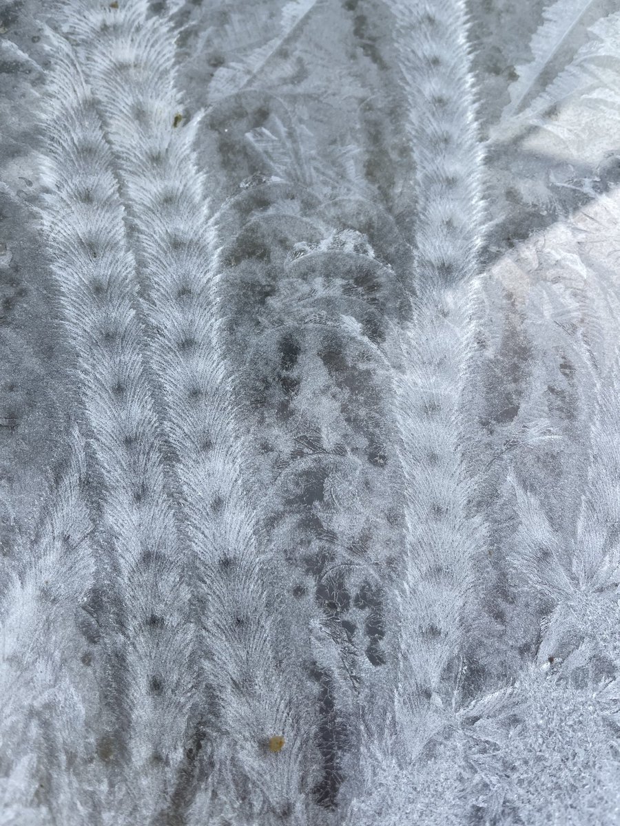 Gillian Higham tweet media