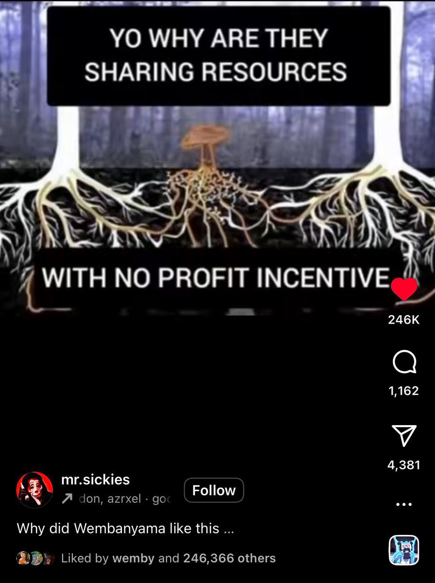 Acervo Victor Wembanyama tweet media