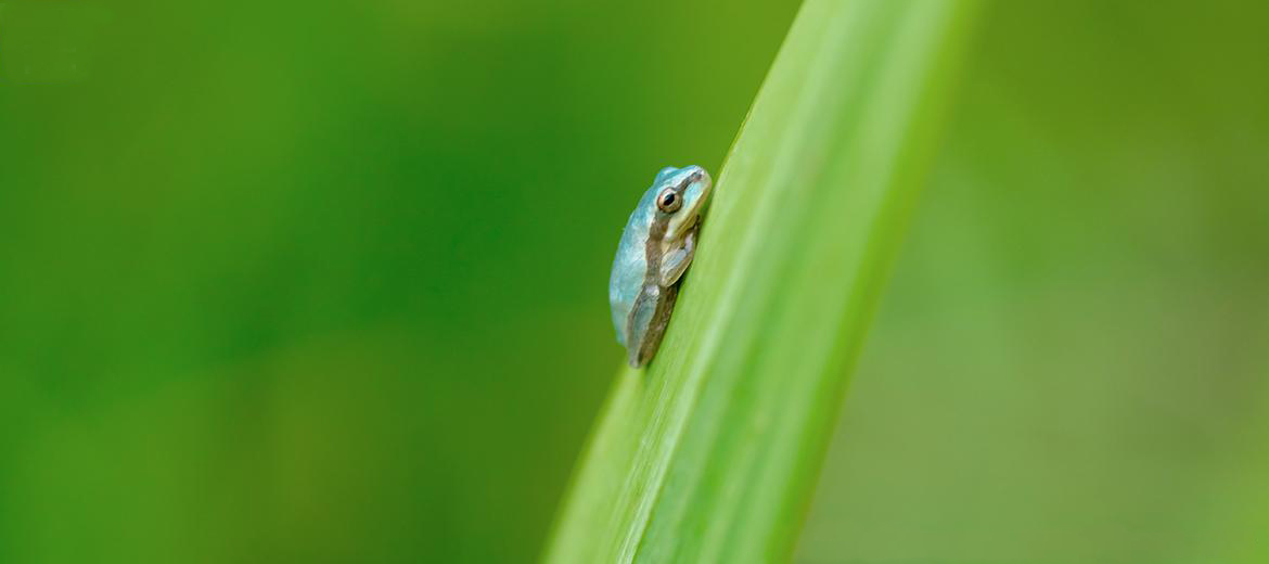 Xarxa de Parcs Naturals tweet media