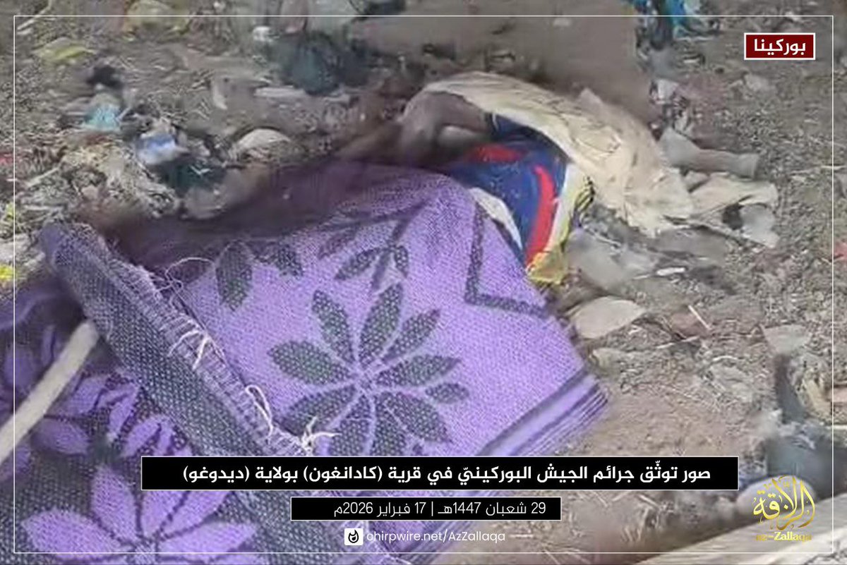 محمدن أيب أيب tweet media