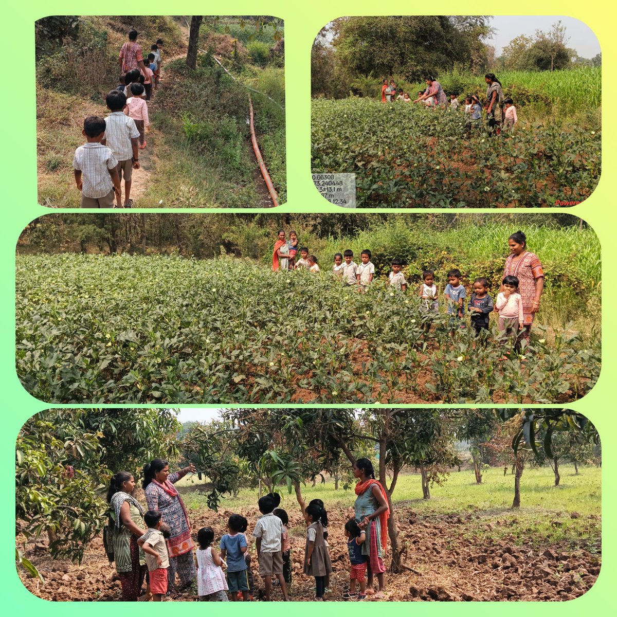 બાળ દિવસની ઉજવણી ચીખલી - ૨