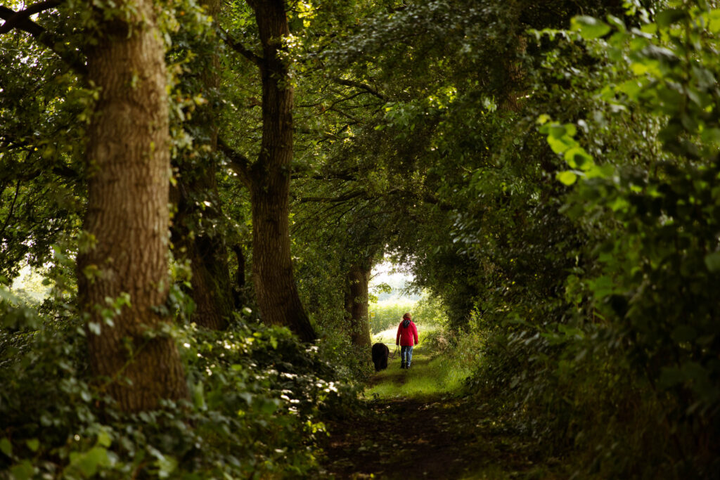 Prolander tweet media