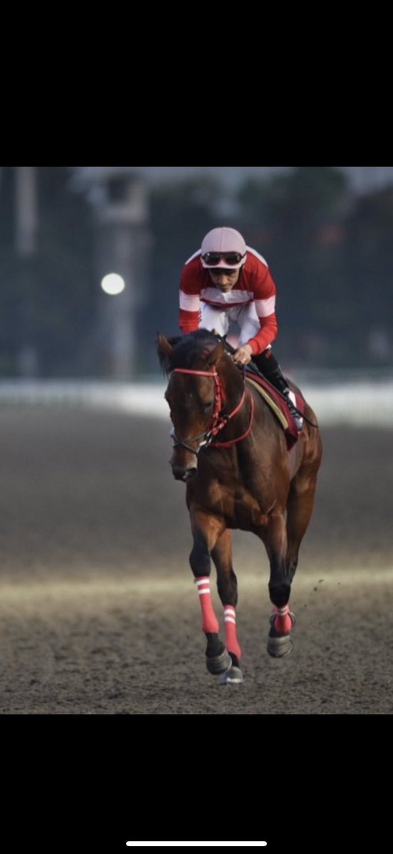 Time to Shine isimli Luxor temsilcisi değerli aygırın erken vefatını üzüntüyle öğrenmiş bulunuyoruz.. Sahibi Kitapçı Ekürisine ve tüm ekibine başsağlığı diliyoruz. Huzur içinde uyu şampiyon 🙏

<a href="/kitapciekurisi/">Kitapçı Ekürisi</a>