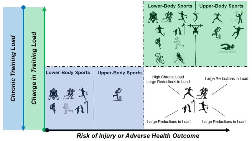 Physio Explored tweet media