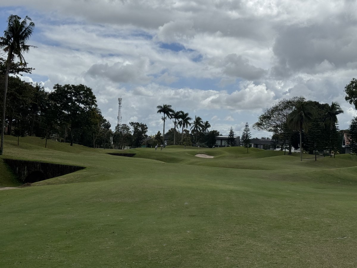 Rex Tattersall tweet media