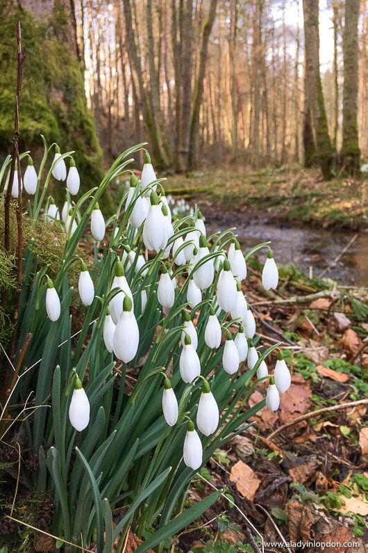 Daily Word: Beloved, if God so loved us, we ought also to love one another.
1 John 4: 11