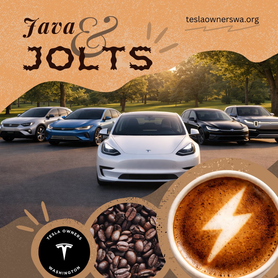 Tesla Owners Washington tweet media