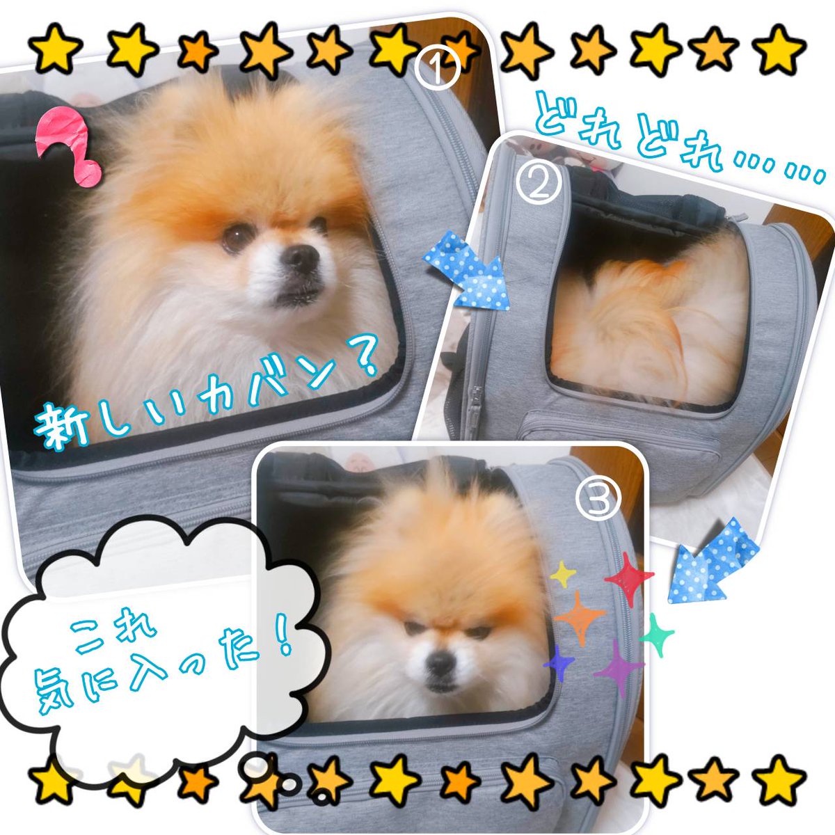 ポメまる@配当投資 (@pomemaru5109) / Posts / X