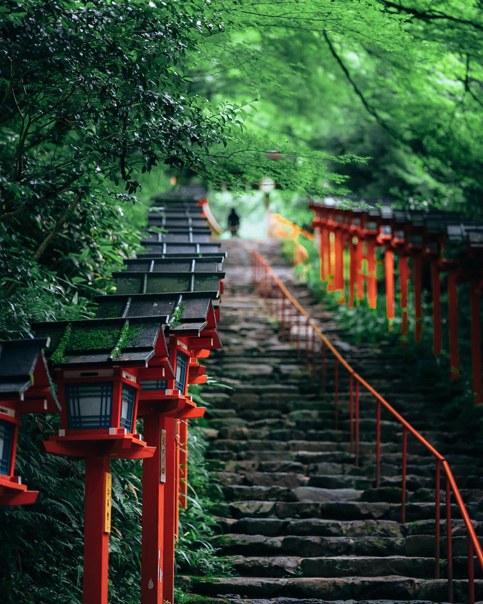 Zek5408's tweet photo. #japan #koyoto #günaydın
Günaydın ☺ https://t.co/12kb5NljHF