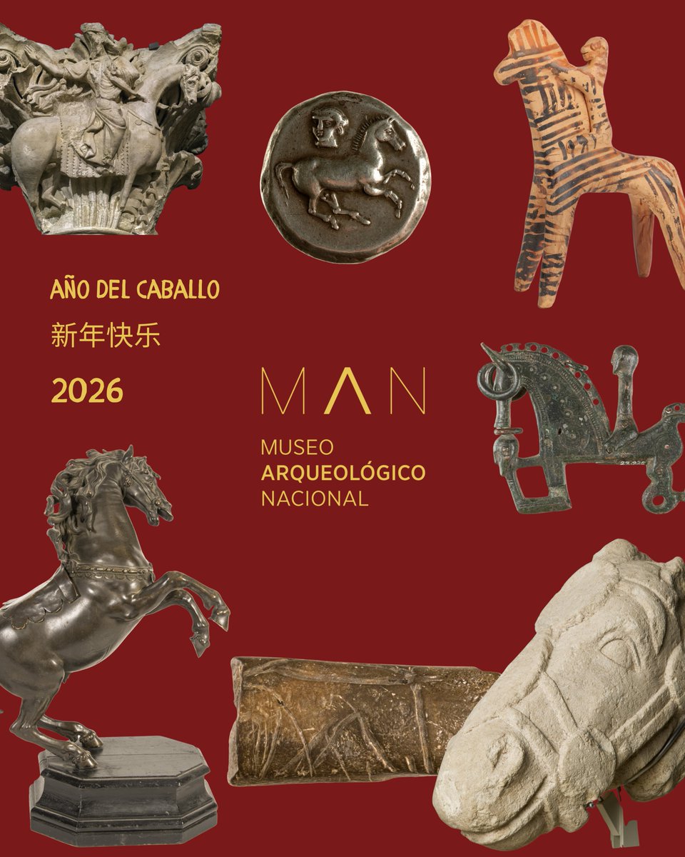 Museo Arqueológico Nacional tweet media