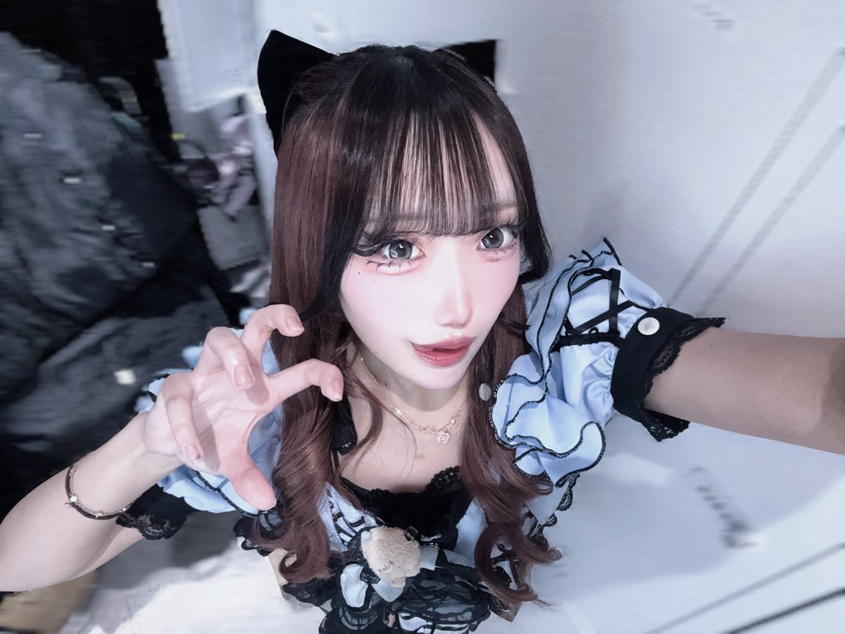 本日会える🐈‍⬛シスターちゃん✝️ピックアップ える @Felis_28kcal__