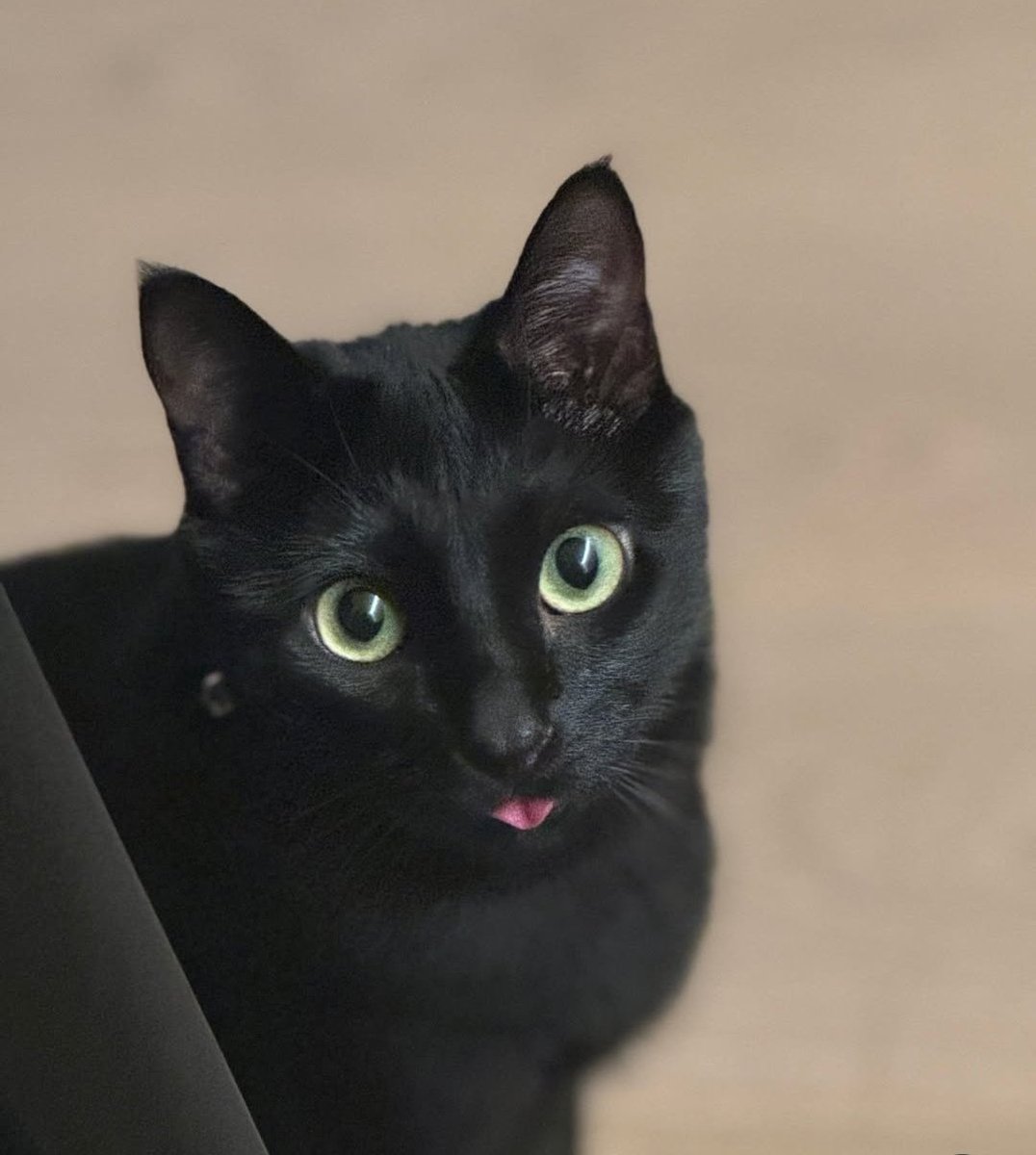 Happy Lunar New Year 🥹🖤✨️
#agustd