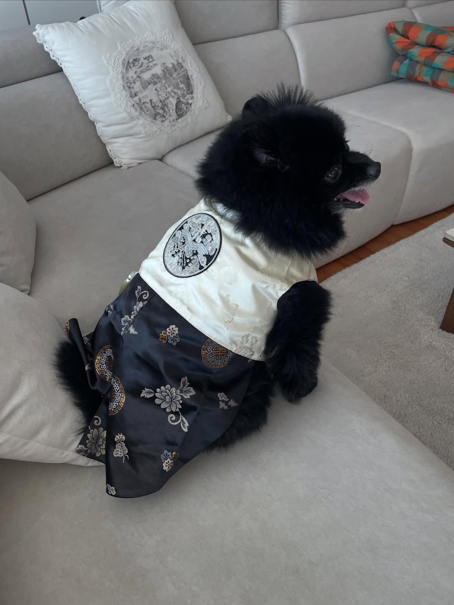 cyjprint's tweet image. 260217 | INSTAGRAM [yugyeom] 

everyone, may you receive lots of new year’s blessings, roar 🐯😁🐥💚🐾🌕

#Yugyeom #유겸 @yugyeom #GOT7