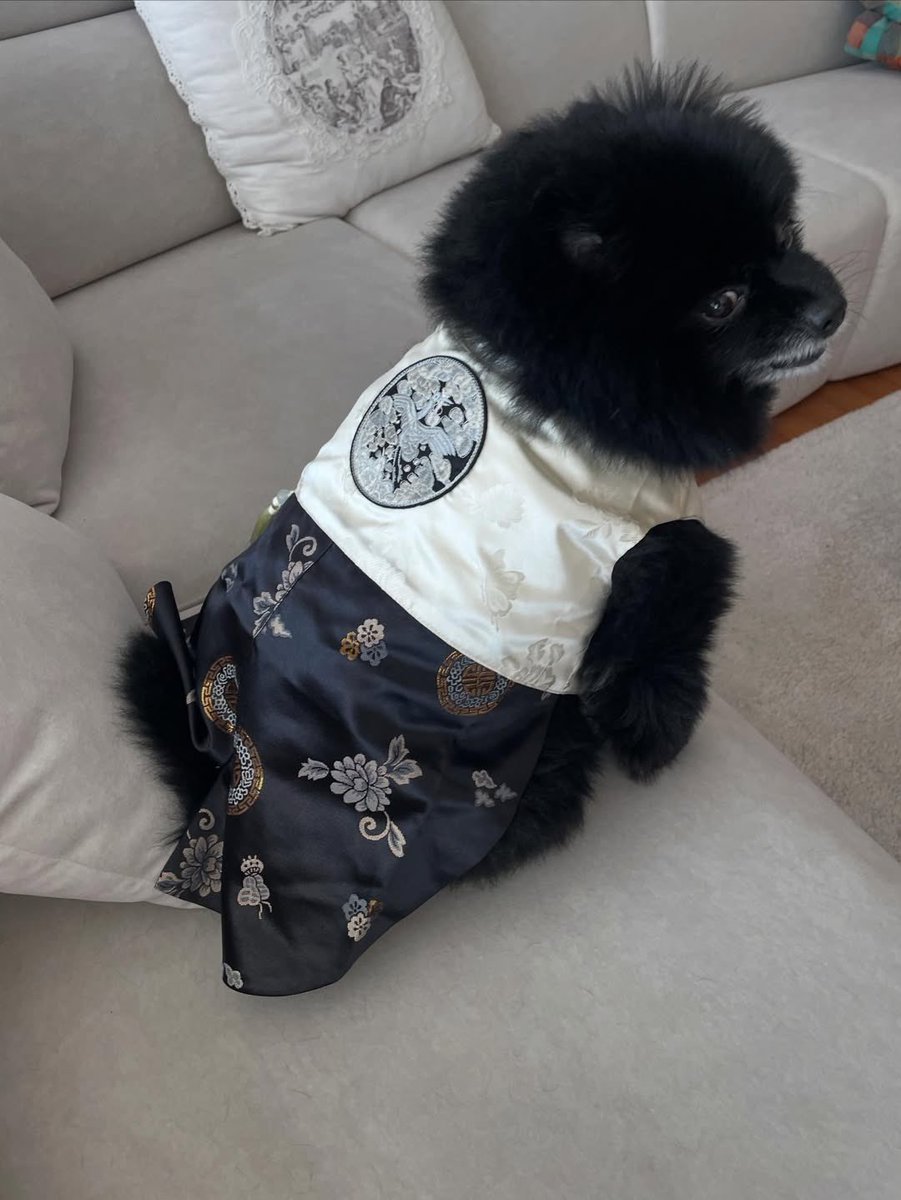 cyjprint's tweet image. 260217 | INSTAGRAM [yugyeom] 

everyone, may you receive lots of new year’s blessings, roar 🐯😁🐥💚🐾🌕

#Yugyeom #유겸 @yugyeom #GOT7