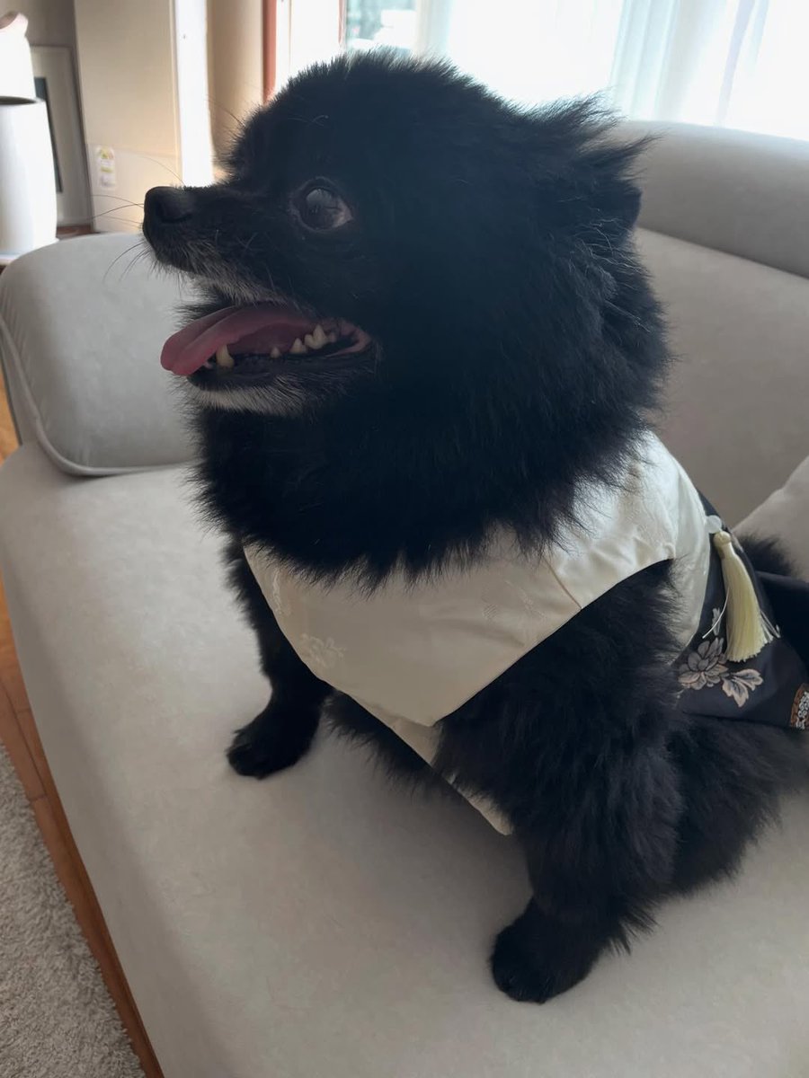 cyjprint's tweet image. 260217 | INSTAGRAM [yugyeom] 

everyone, may you receive lots of new year’s blessings, roar 🐯😁🐥💚🐾🌕

#Yugyeom #유겸 @yugyeom #GOT7