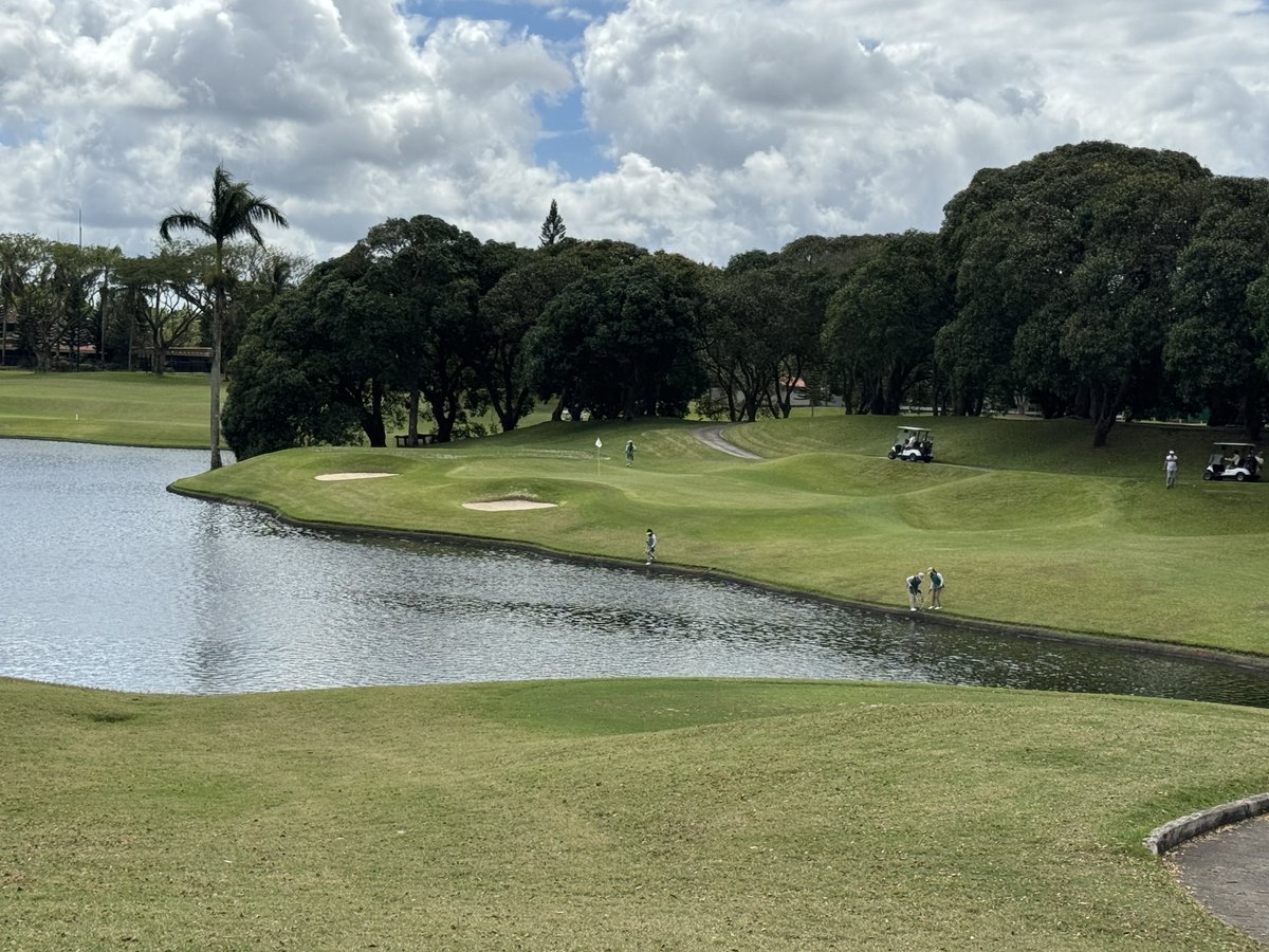 Rex Tattersall tweet media