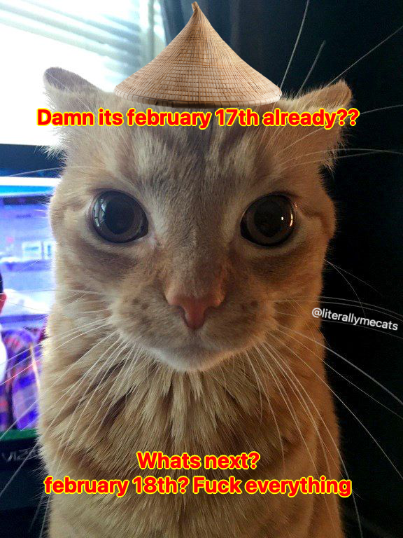 literallymecats's tweet photo. https://t.co/bXBLZg4J8e