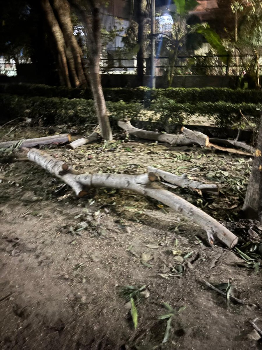 Save 15a Noida park tweet media