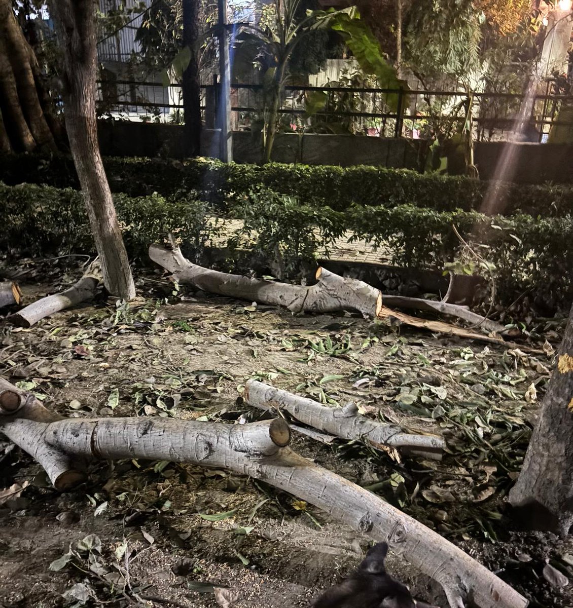 Save 15a Noida park tweet media