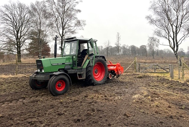 Op het Speulderveld bij Ermelo wordt deze winter gewerkt aan herstel van de heide. Gemaaide stroken zorgen voor jonge plantjes en op een nieuw aangelegde heideakker worden rogge en wilde bloemen gezaaid. Dit levert straks voedsel voor dieren op 

ermelovannu.nl/actueel/13754-…

#Ermelo