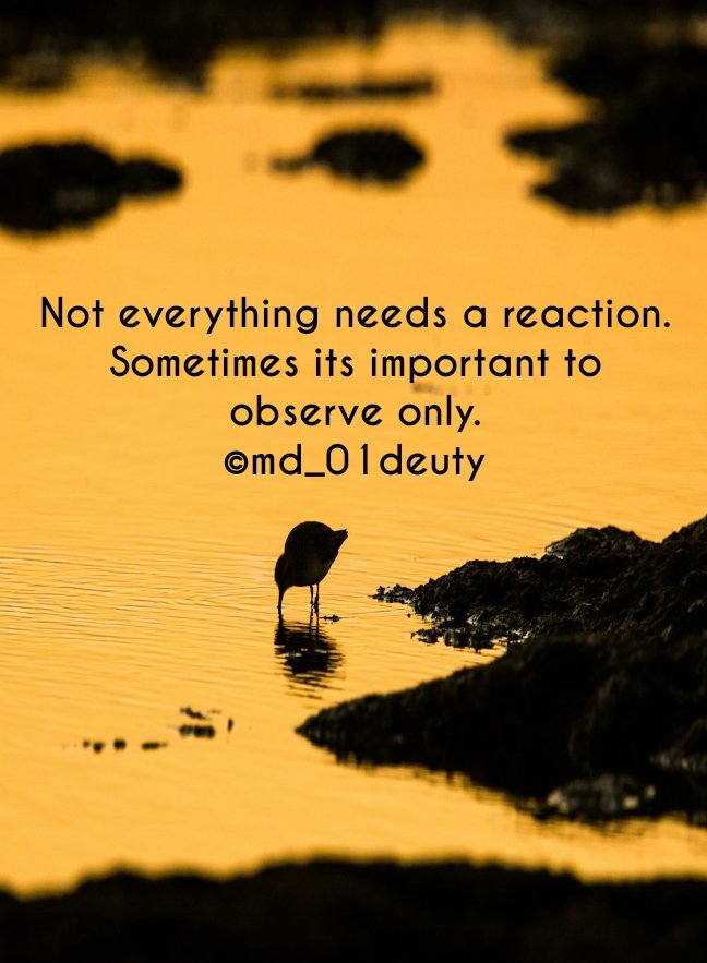 MD_01deuty's tweet photo. Drop ❤️ if you agree.... 
also share your view , when you find yourself in a situation where you can't understand anything or can't make others understand.
😊 
#life  #ThoughtForTheDay 
#Peace #LoveBetweenLines 
#learn 
🦋 https://t.co/HeSCtEAB4g